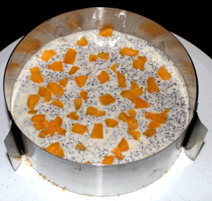 Joghurt-Mohn-Mandarinen Kuchen 01